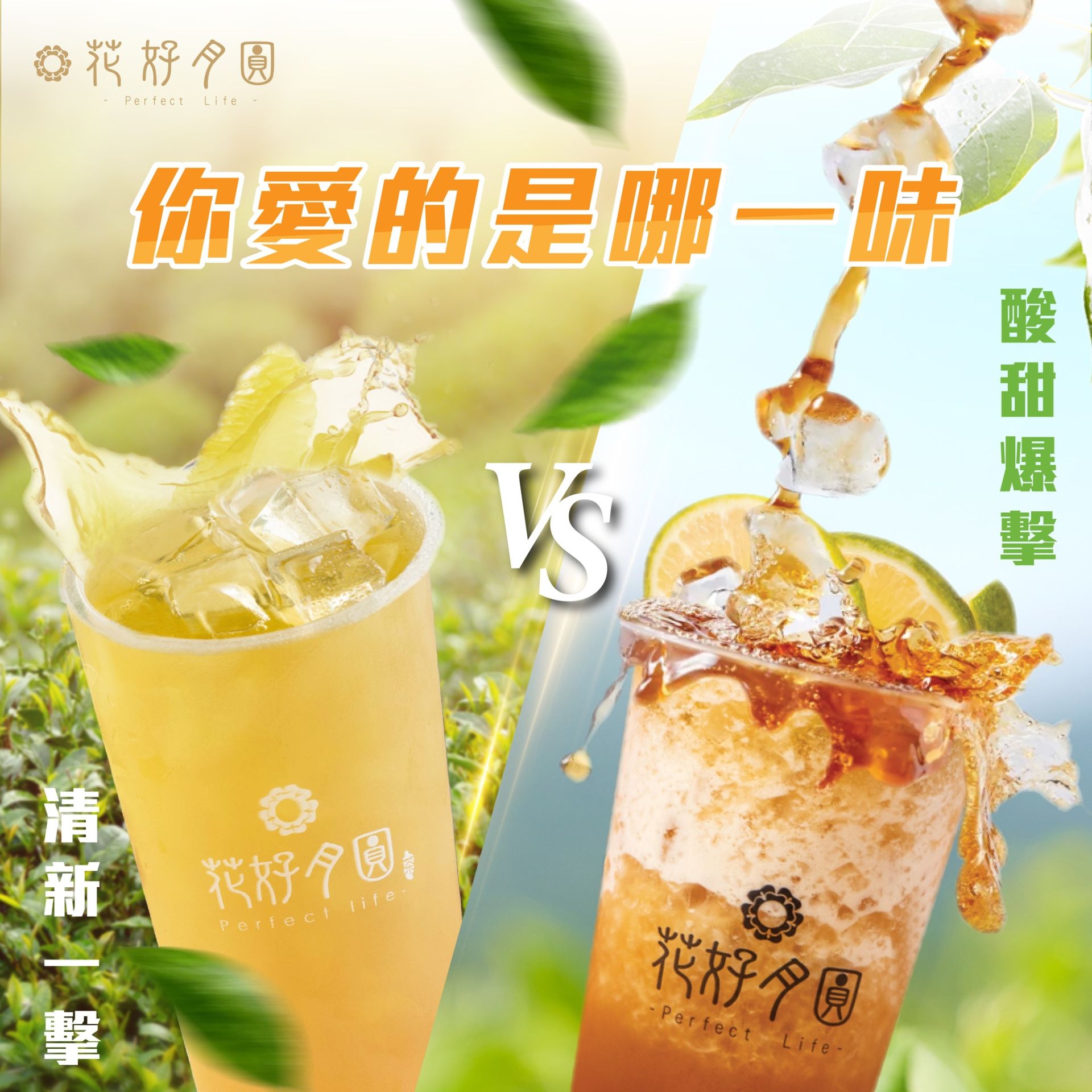 1040寵粉計畫_工作區域 1